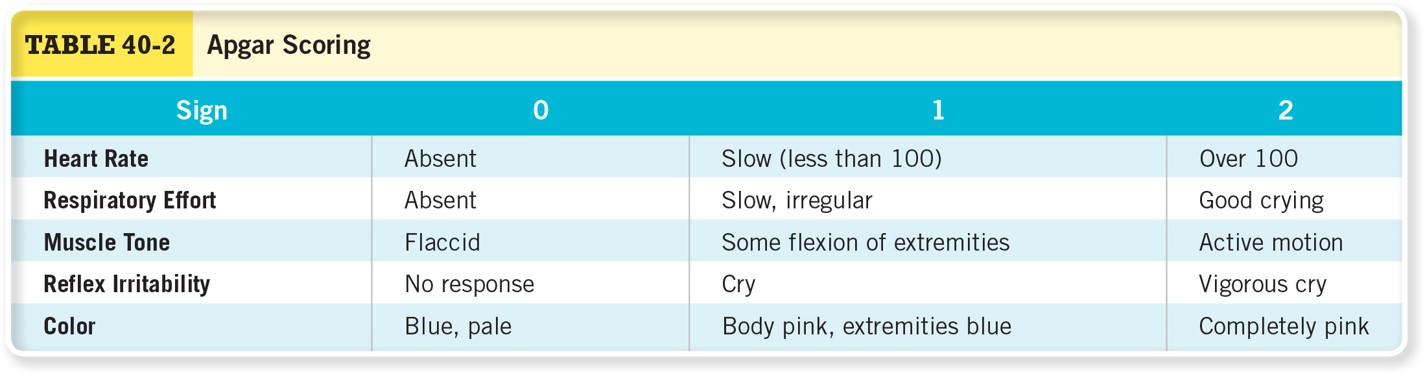 Apgar Scoring 