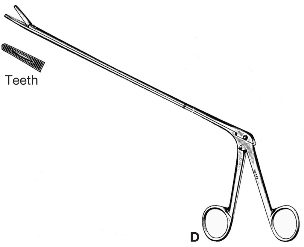 Urological instruments: urethral forceps.