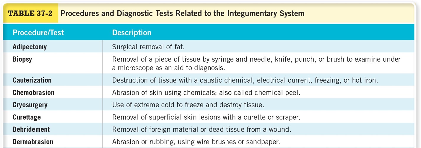 Procedures and Diagnostic Tests Related to the Integumentary System