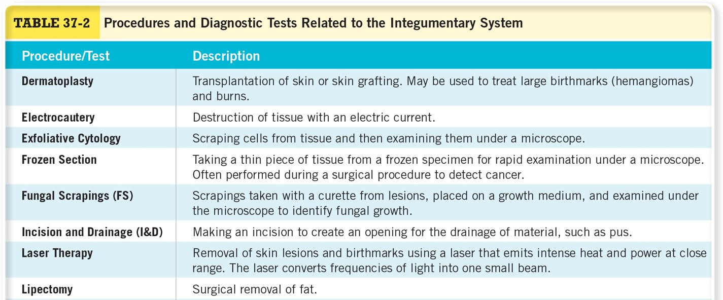 Procedures and Diagnostic Tests Related to the Integumentary System