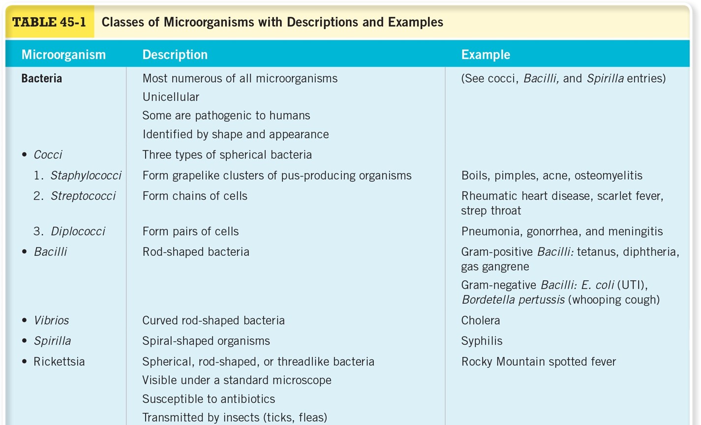 Classes of Microorganisms with Descriptions and Examples 