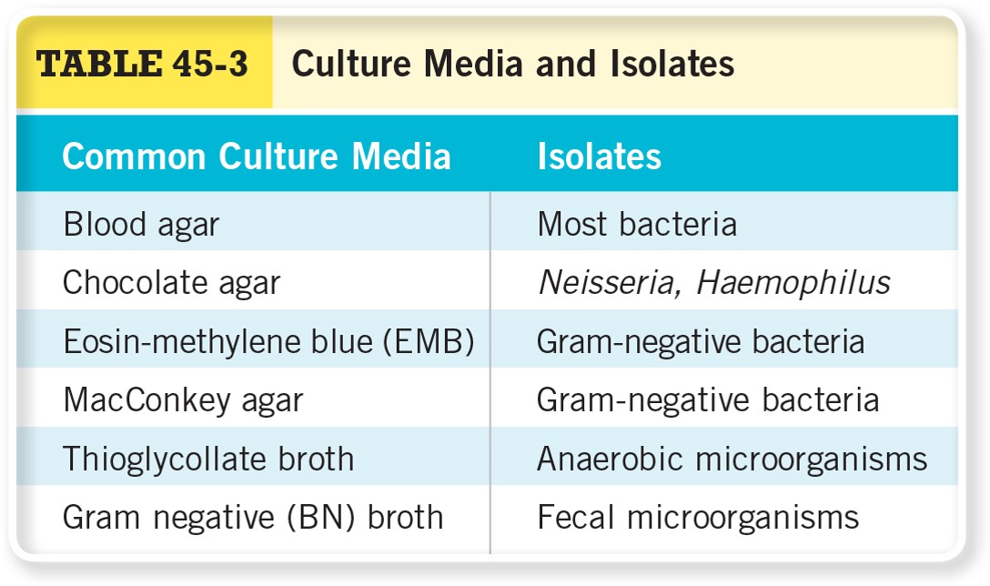 Culture Media and Isolates 