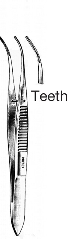 Types of forceps.