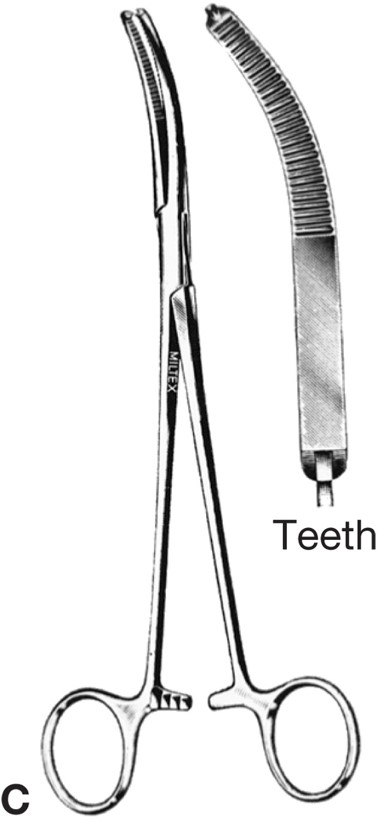 Hemostats: curved forceps.