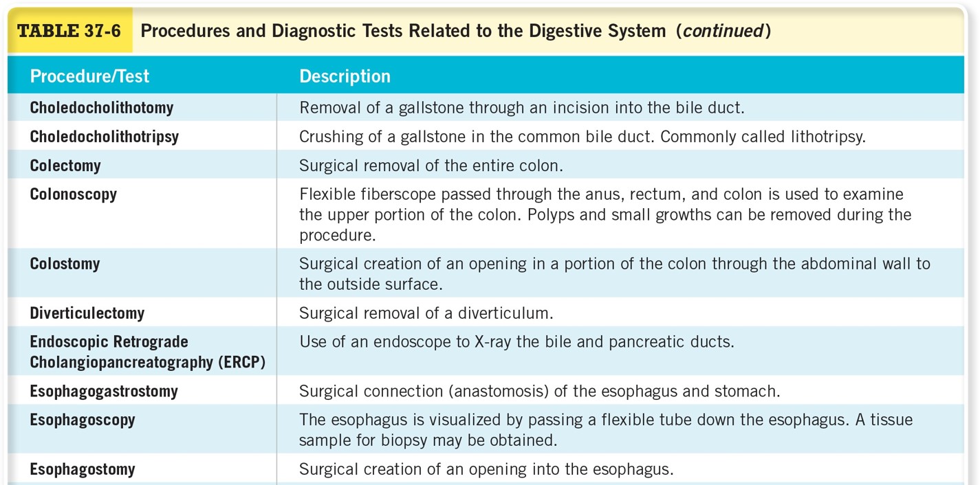 Procedures for Diagnostic Tests Related to the Digestive System 