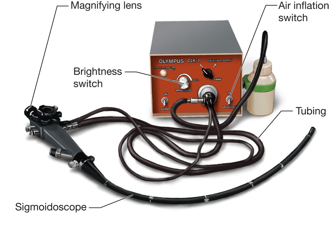 The parts of a flexible sigmoidoscope.