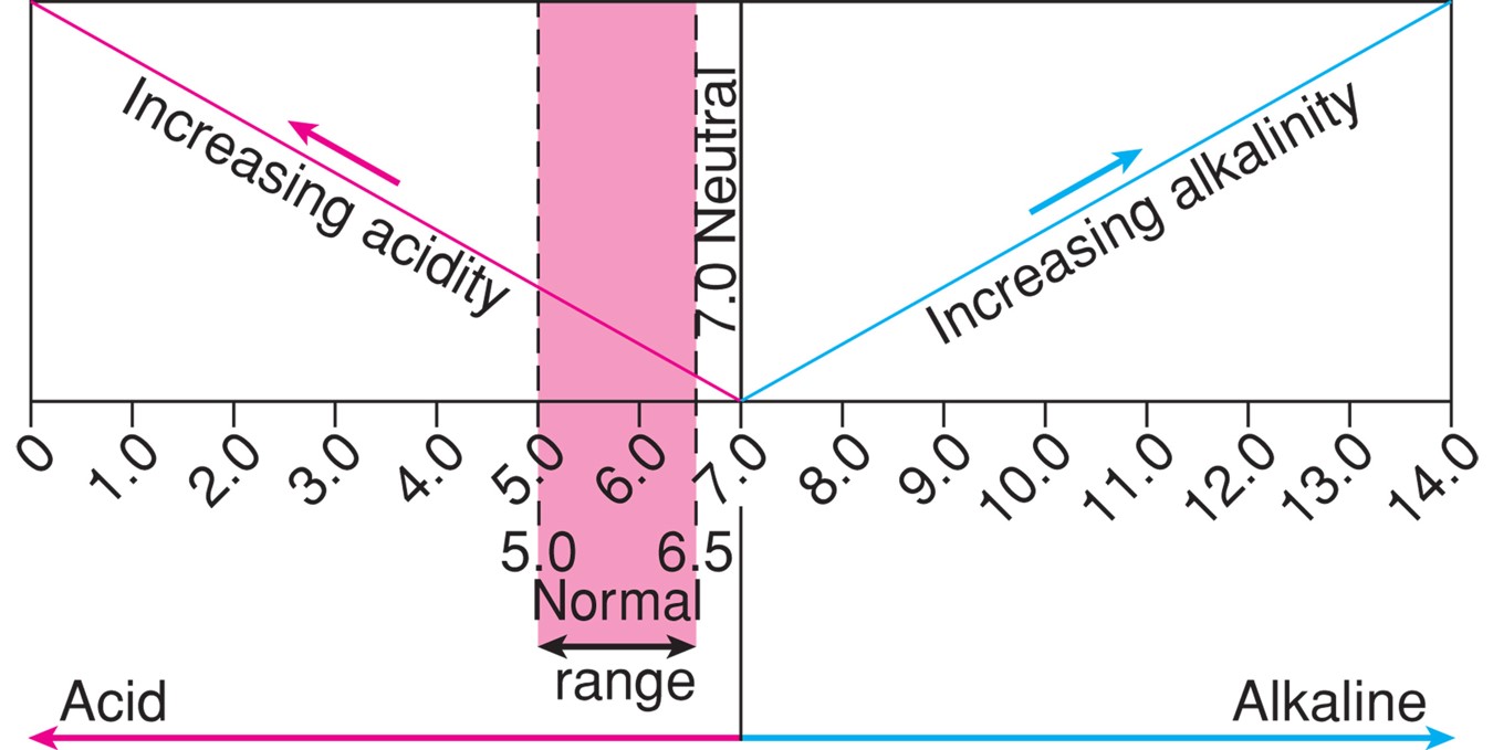 Urine pH scale.