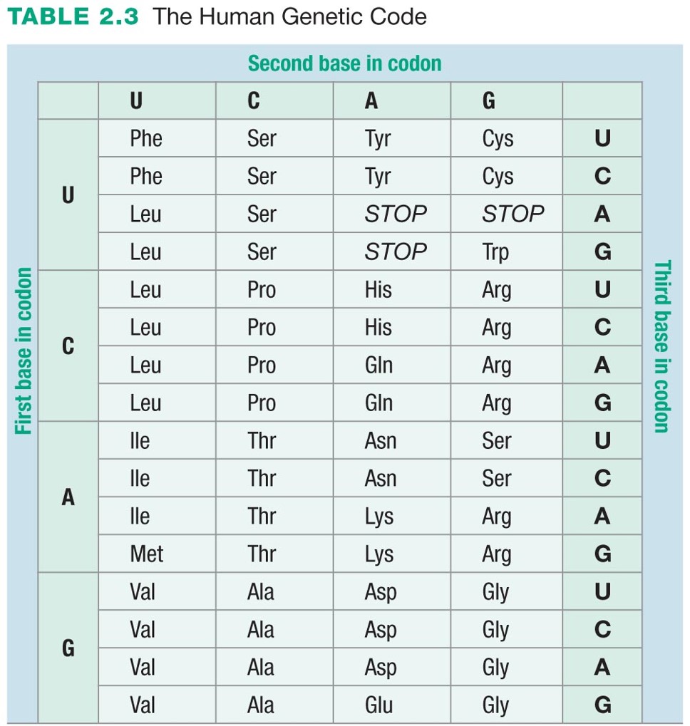 The Human Genetic Code