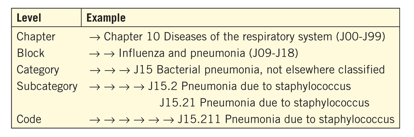 Organizational structure of ICD-10-CM chapters.