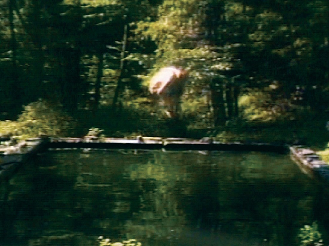 Bill Viola, The Reflecting Pool.