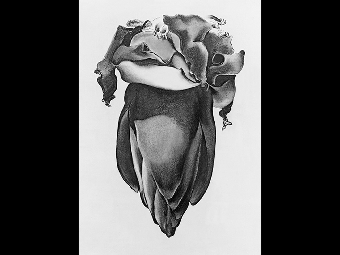 Georgia O'Keeffe, Banana Flower