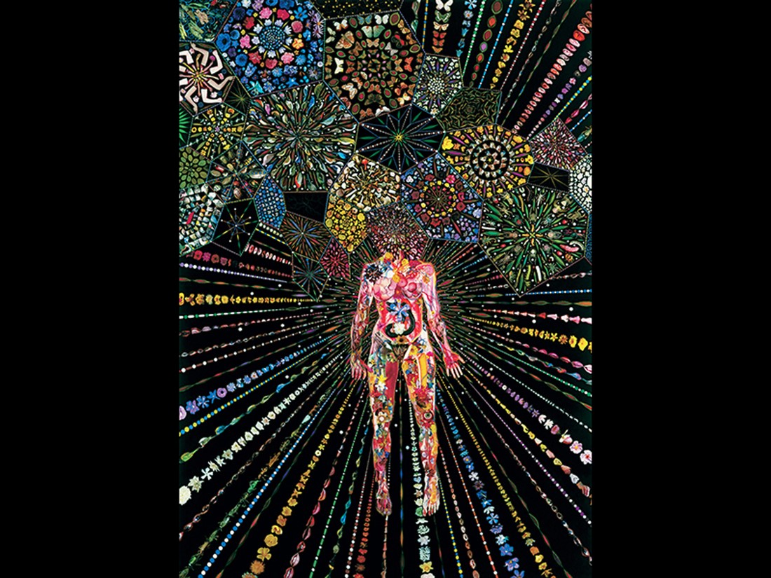 Fred Tomaselli, Airborne Event.