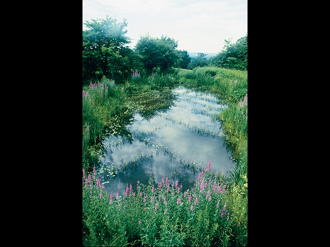 Karen McCoy, Considering Mother's Mantle, project for Stone Quarry Hill Art Park, Cazenovia, ...