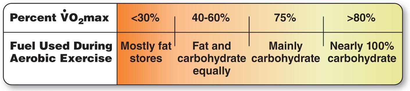 Carbohydrates and Exercise