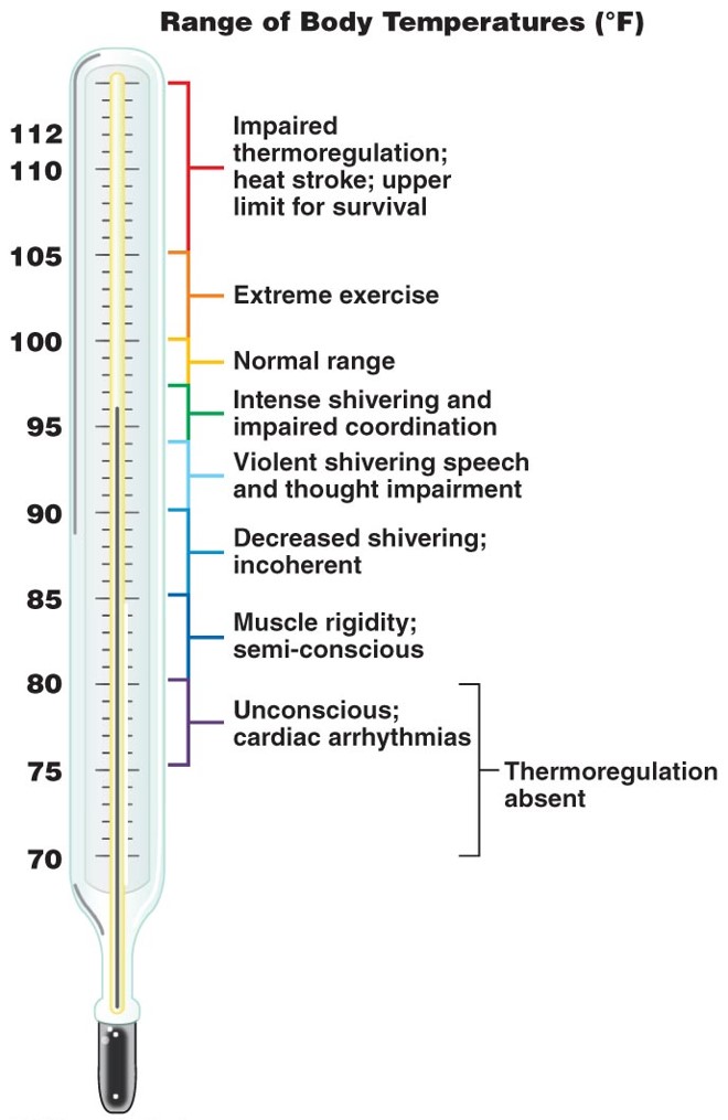 Temperature Ranges for Human Survival