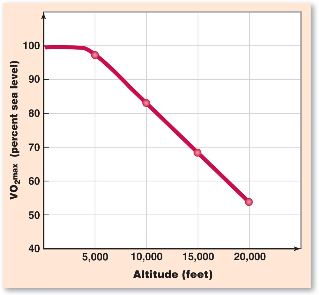 Effects of Altitude on Exercise Capacity