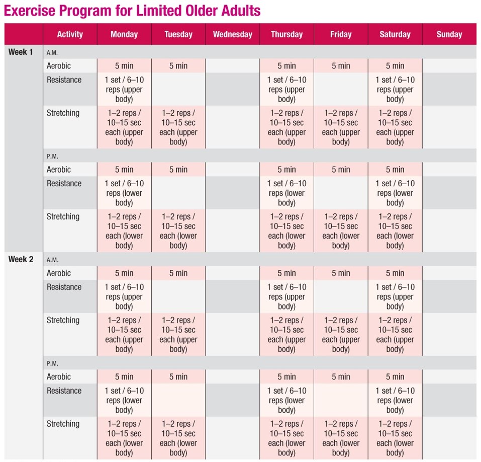 Sample Exercise Program for Limited Older Adults