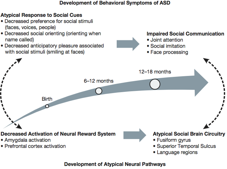 Development of Behavioral Symptoms of ASD 