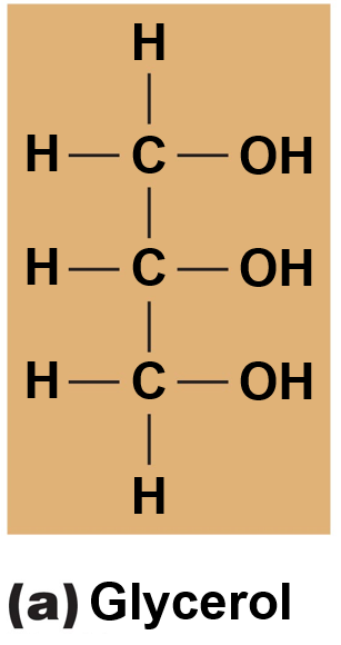 Glycerol