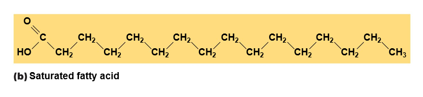 Saturated fatty acid