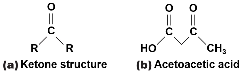 Ketone structure and Acetoacetic acid