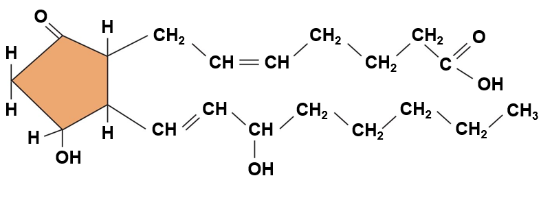 Eicosanoids.