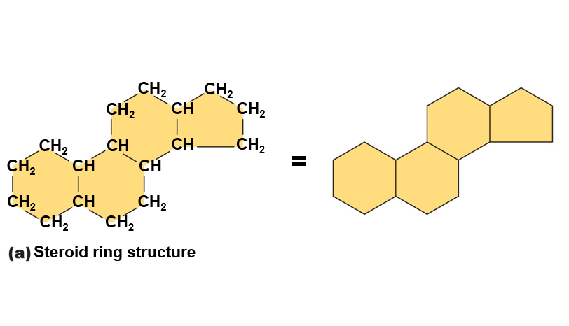 Steroid ring structure