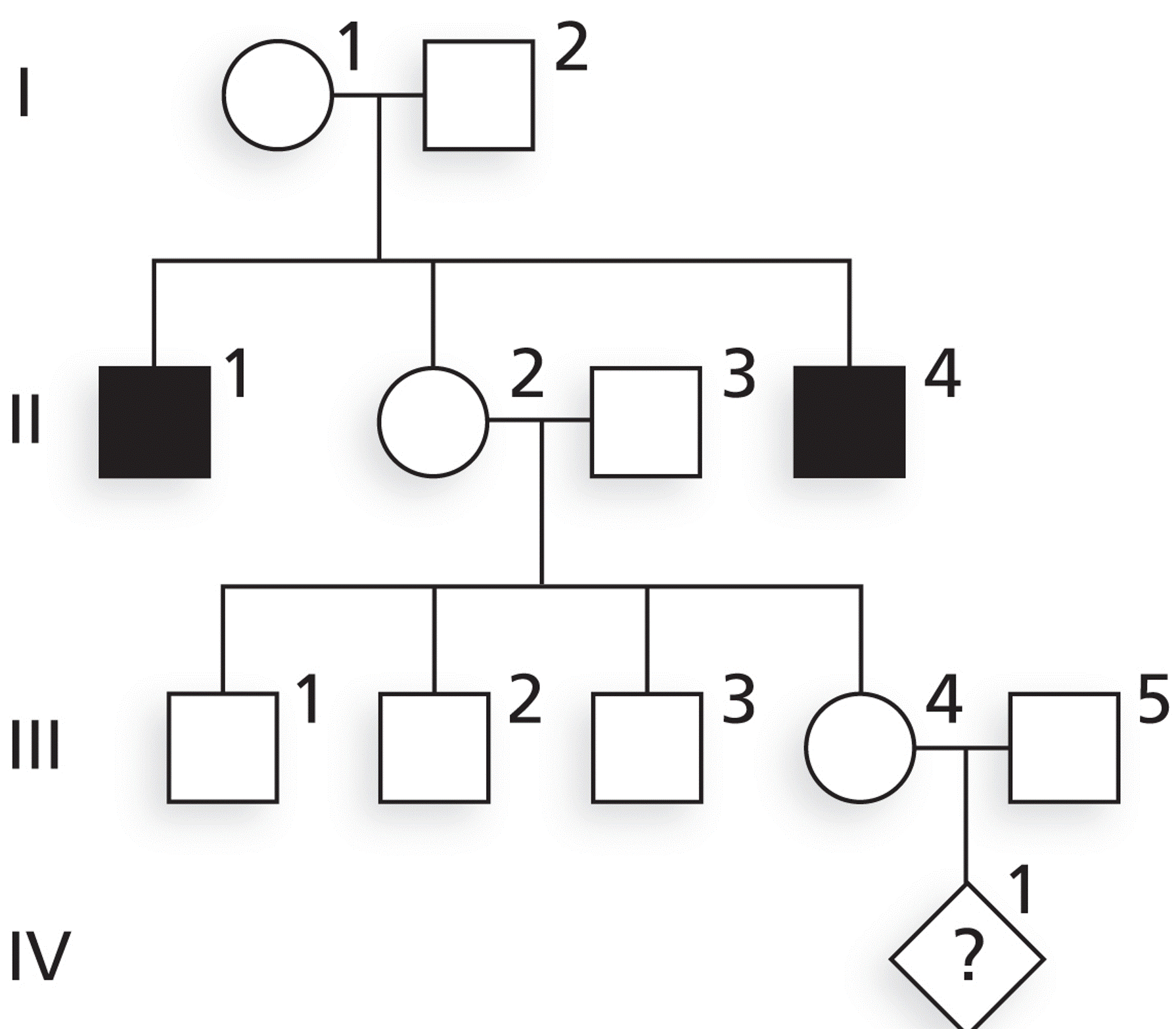 The family described in Example Case 5