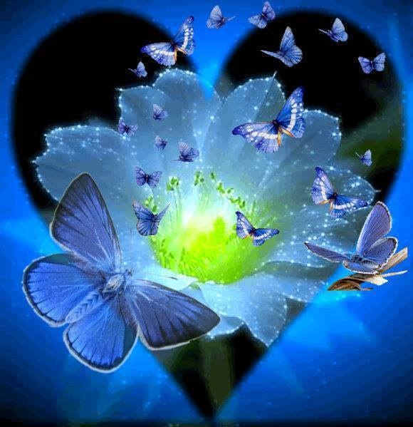 butterflies love