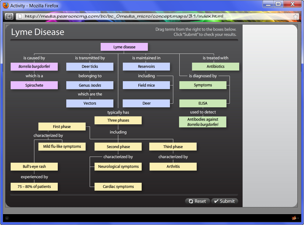 Lyme Disease Concept Map