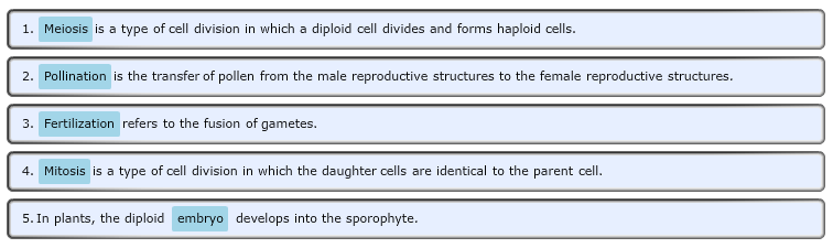 Land Plant Reproductive Terms