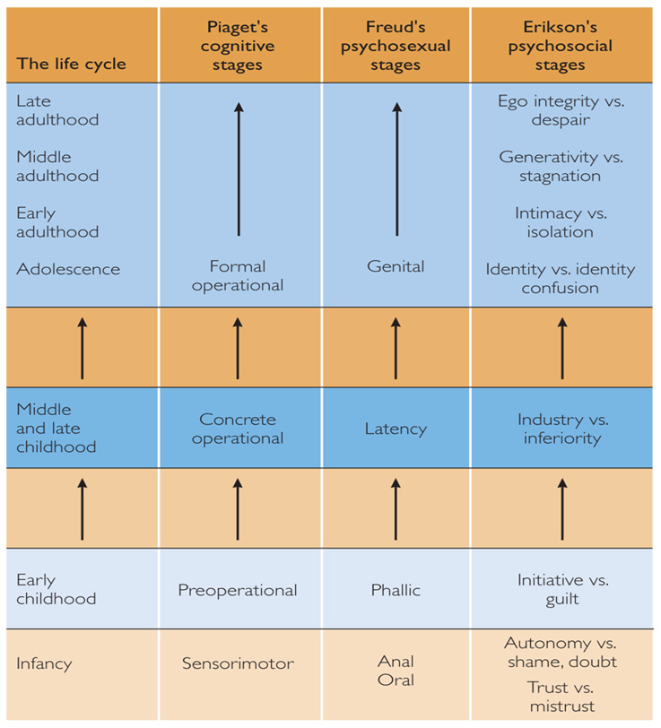 Comparison of Piaget, Freud, & Erikson