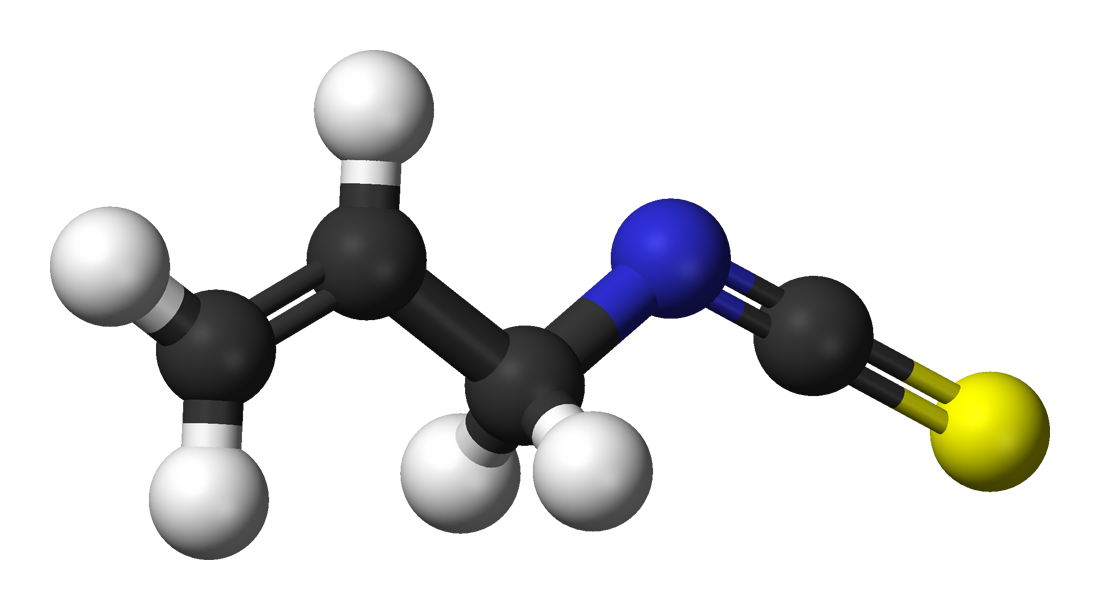 Allyl isothiocyanate, ball and stick model