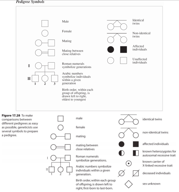 Pedigree Symbols