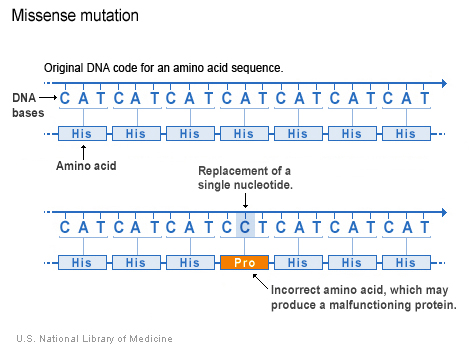 Missense mutation