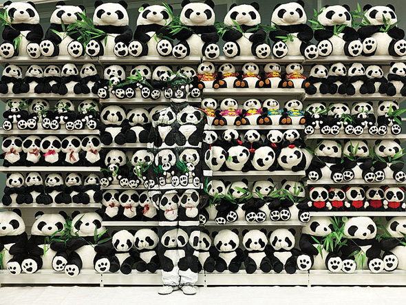 Liu Bolin disappears into a shelf of pandas