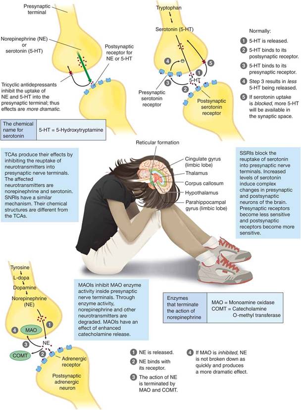 Antidepressant Therapy Is Directed Toward the Amelioration of Depressive Symptoms