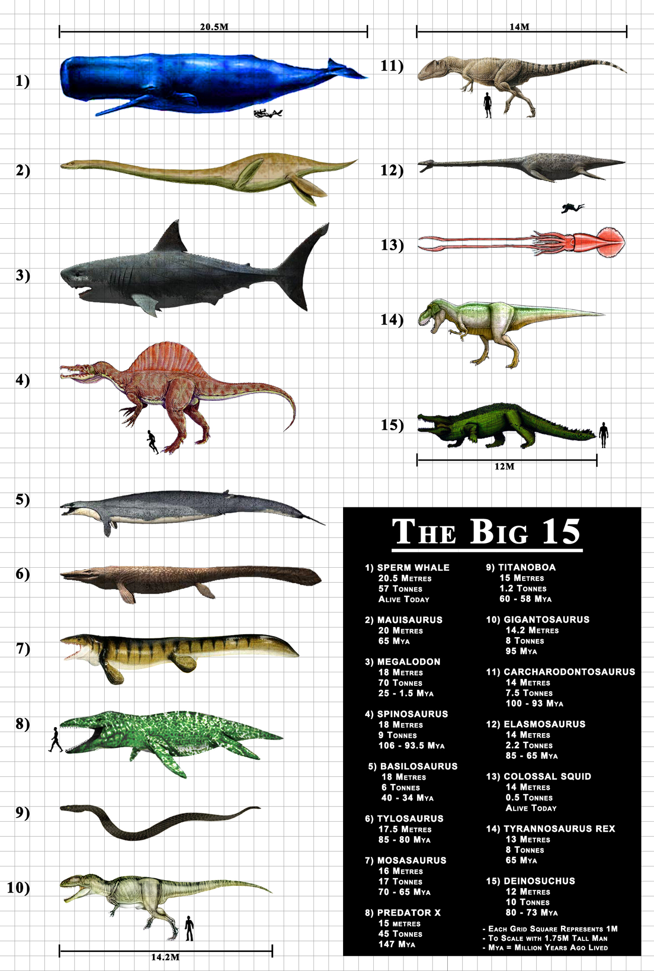 Largest Predators