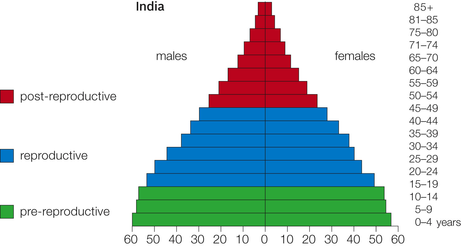 Age structure For India