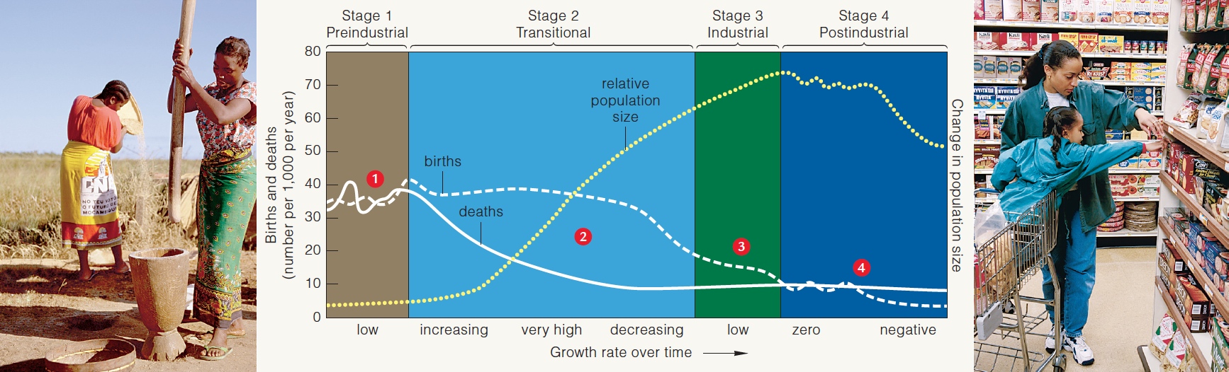 Demographic transition model for changes in population growth rates and sizes, correlated with long-