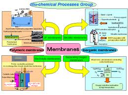 biochem