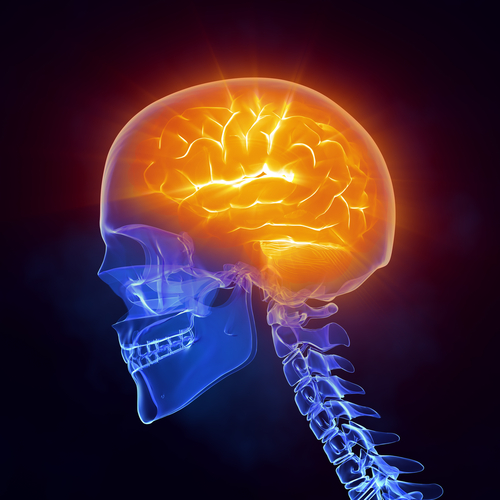 New Research on the Effects of Traumatic Brain Injury (TBI)