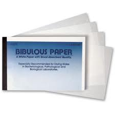 bibulous paper