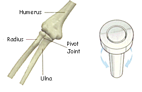 Pivot joint