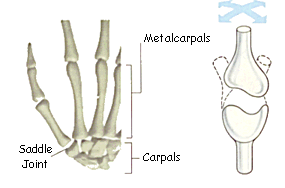 Gliding joints