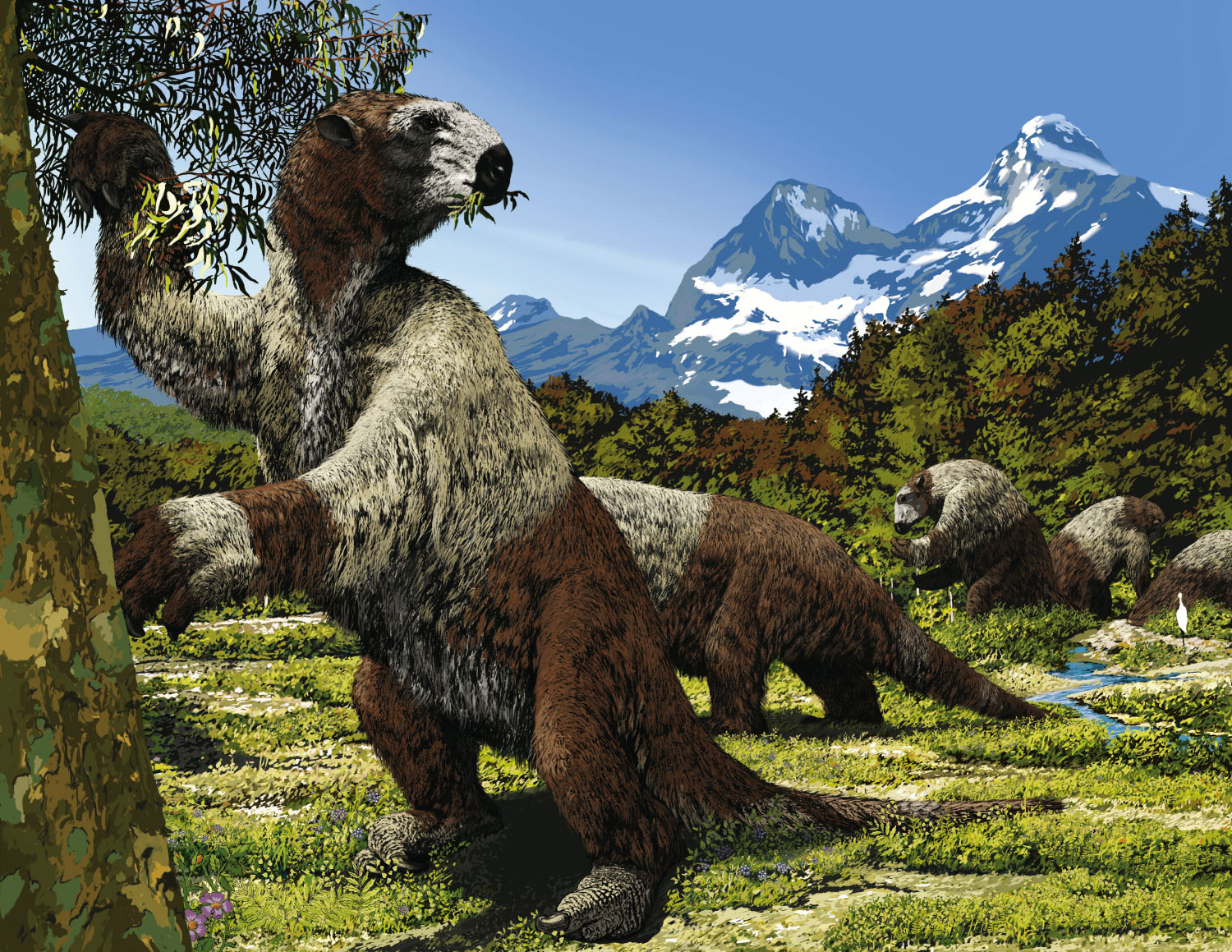 Giant ground sloth