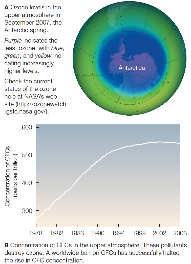 Ozone and CFCs