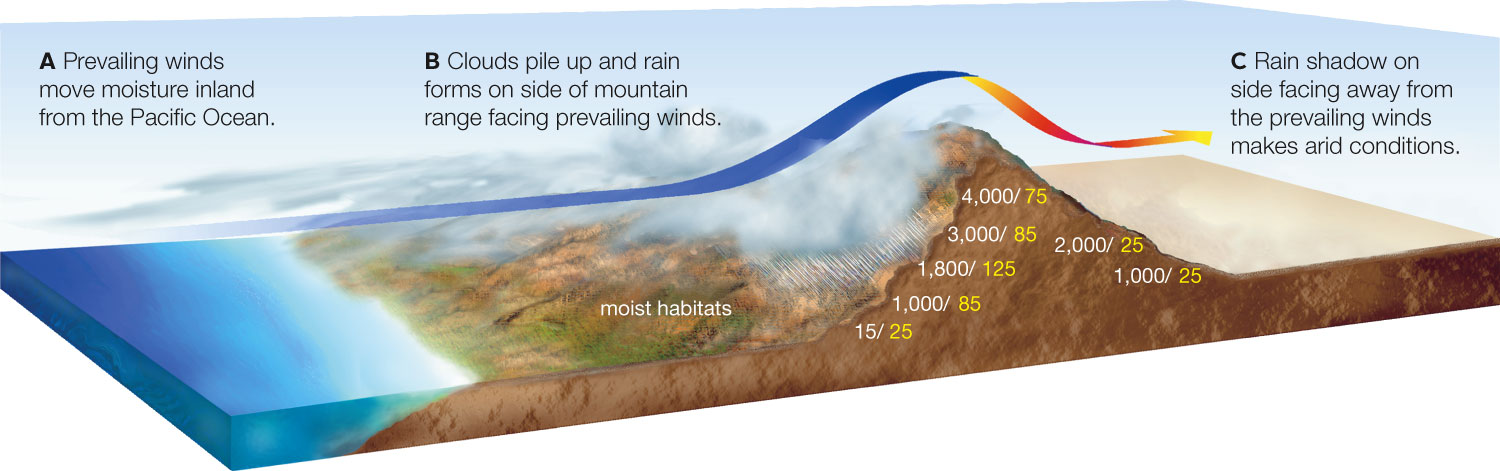 Rain Shadow Effect