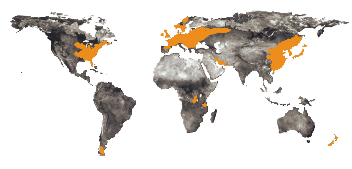 Tropical rain forests on the world map