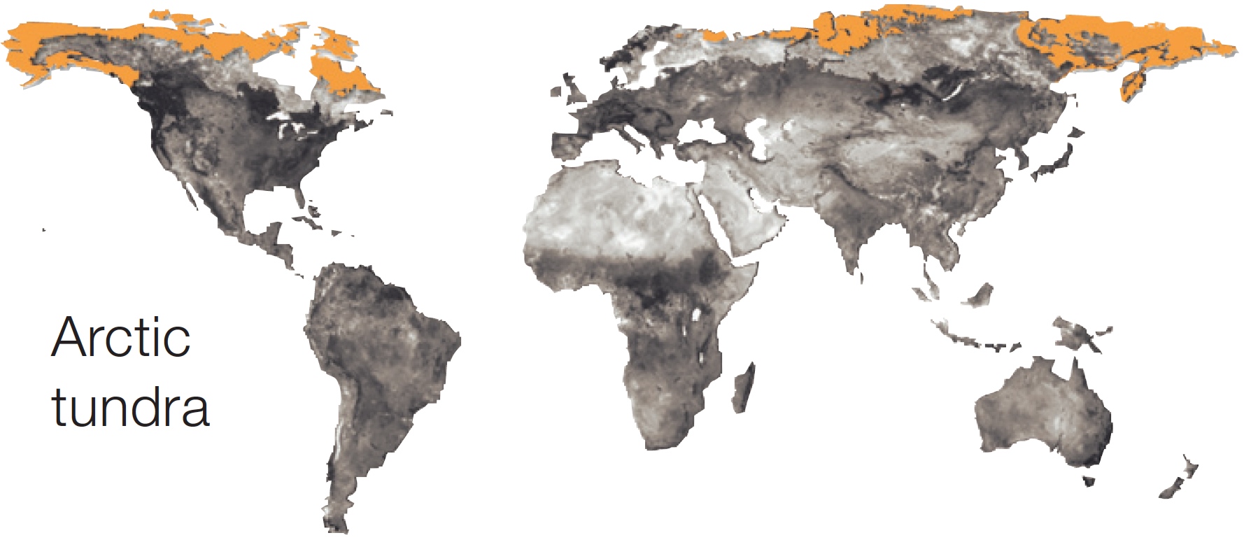 Arctic tundra on the world map